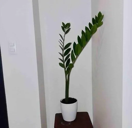 Great Value In Uptown Parksuites Bgc 1br,washer,netflix Apartamento Manila